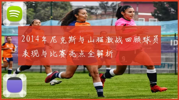 2014年尼克斯与山猫激战回顾球员表现与比赛亮点全解析