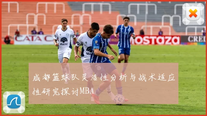 成都篮球队灵活性分析与战术适应性研究探讨MBA