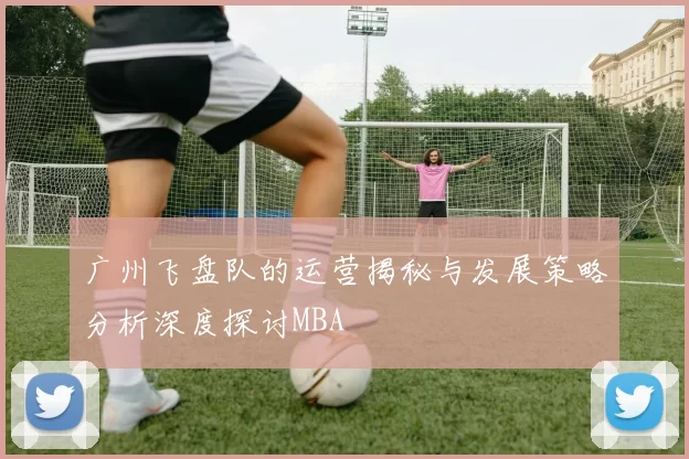 广州飞盘队的运营揭秘与发展策略分析深度探讨MBA