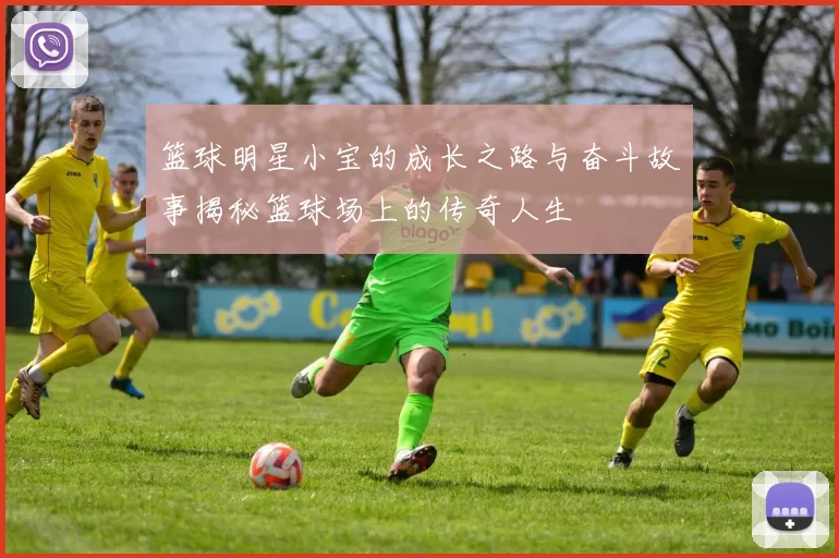 篮球明星小宝的成长之路与奋斗故事揭秘篮球场上的传奇人生