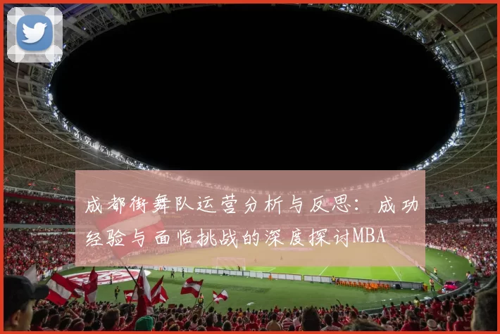 成都街舞队运营分析与反思：成功经验与面临挑战的深度探讨MBA