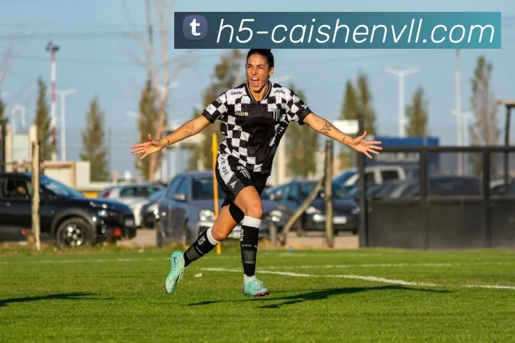 彩神vll 官网APP 封面图